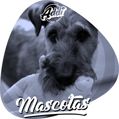 Mascotas